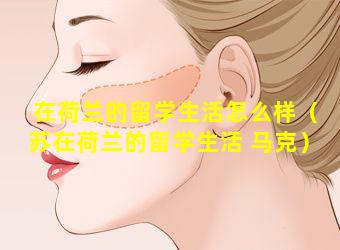 在荷兰的留学生活怎么样（苏在荷兰的留学生活 马克）